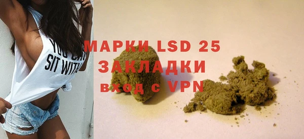 шишки Белоозёрский