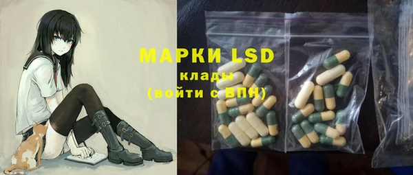 шишки Белоозёрский