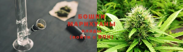 шишки Белоозёрский