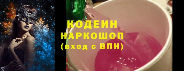шишки Белоозёрский
