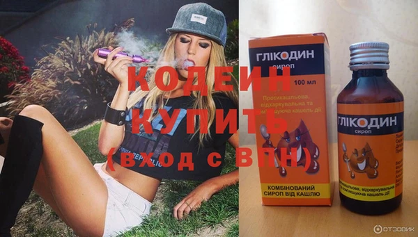 шишки Белоозёрский