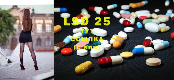 винт Сатка