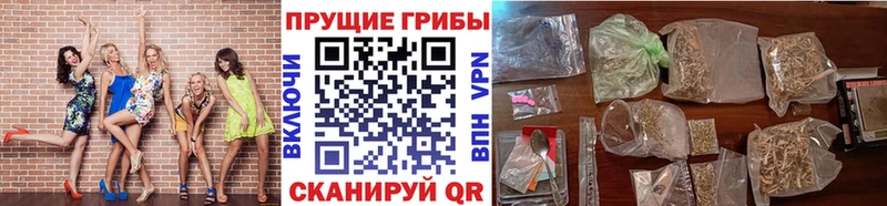 Псилоцибиновые грибы мицелий  Кущёвская 